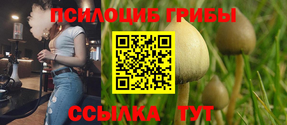 Елабуга  Галлюциногенные грибы GOLDEN TEACHER  Вход с VPN 