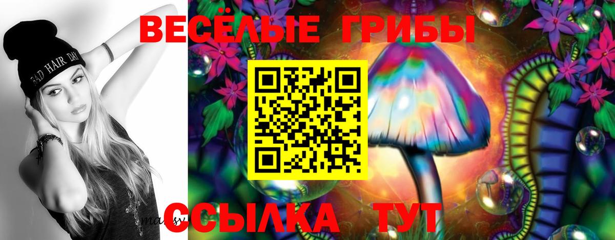 Галлюциногенные грибы Psilocybe Елабуга